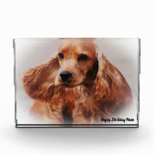 Bloc Photo Cocker Spaniel. (Devant)