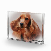 Bloc Photo Cocker Spaniel. (Droite)