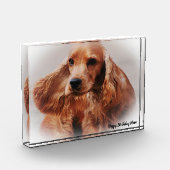 Bloc Photo Cocker Spaniel. (Gauche)