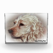 Bloc Photo Cocker Spaniel. (Devant)