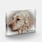 Bloc Photo Cocker Spaniel. (Gauche)