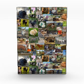 Bloc Photo Collage photo de la ferme, (Devant)