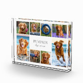 Bloc Photo Collage photo simple pour animal de compagnie de c (Droite)