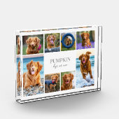 Bloc Photo Collage photo simple pour animal de compagnie de c (Gauche)