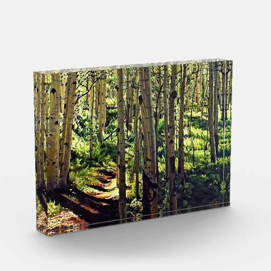 Bloc Photo Colorado Arbres d'Aspen Rocheux (Gauche)