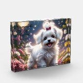 Bloc photo commémoratif de la perte d'animaux (Gauche)