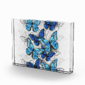 Bloc Photo Composition des White and Blue Butterflies (Droite)