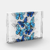 Bloc Photo Composition des White and Blue Butterflies (Gauche)