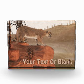 Bloc Photo Concentration - Cougar (Devant)