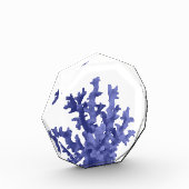 Bloc Photo Corail tropical (Gauche)