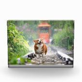 Bloc Photo Corgi se promenant sur les rails (Devant)