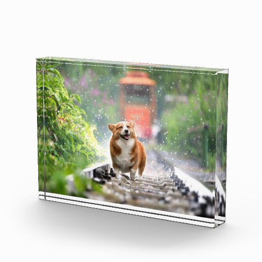 Bloc Photo Corgi se promenant sur les rails (Droite)