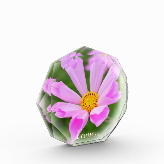 Bloc Photo Cosmos (Gauche)