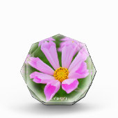 Bloc Photo Cosmos (Devant)