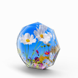 Bloc Photo Cosmos フォトブロック