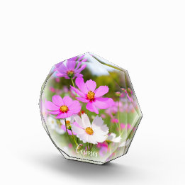 Bloc Photo Cosmos フォトブロック