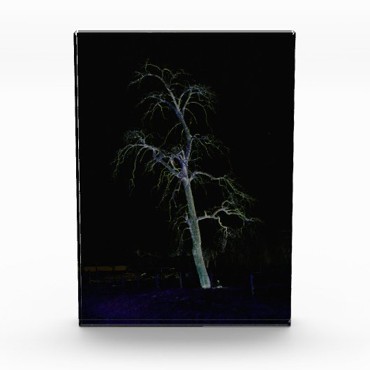 Bloc Photo Côté foncé 8 pbcna (Devant)