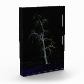 Bloc Photo Côté foncé 8 pbcnm (Gauche)