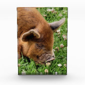 BLOC PHOTO COUPER (Devant)