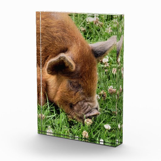 BLOC PHOTO COUPER (Droite)