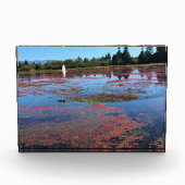 Bloc Photo Cranberry Farm, Long Beach, Washington (Devant)