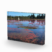 Bloc Photo Cranberry Farm, Long Beach, Washington (Droite)