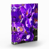 BLOC PHOTO CROCUS DE PRINTEMPS (Gauche)