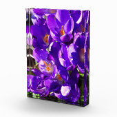 BLOC PHOTO CROCUS DE PRINTEMPS (Droite)