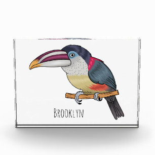 Bloc Photo Curl crested aracari bird cartoon