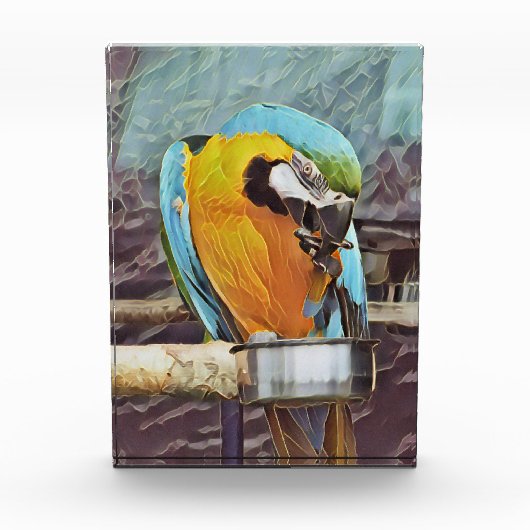 BLOC PHOTO CUTE MACAW (Devant)
