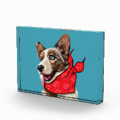 Bloc Photo Cute Pembroke Welsh Corgi (Droite)