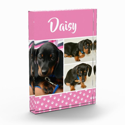 Bloc Photo Cute Photo Collage Nom du chien animal de compagni (Gauche)