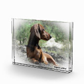 Bloc Photo Dachshund Chien. (Droite)