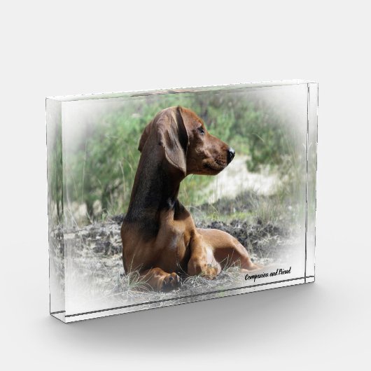 Bloc Photo Dachshund Chien. (Gauche)