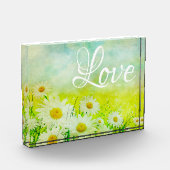 Bloc Photo Daisy Love (Gauche)