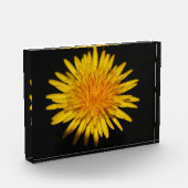Bloc Photo Dandelion Flower pbcna (Gauche)