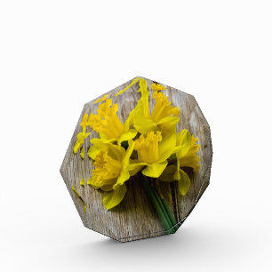 Bloc photo de jonquilles jaunes