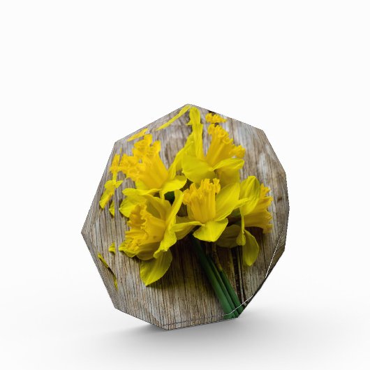 Bloc photo de jonquilles jaunes (Gauche)