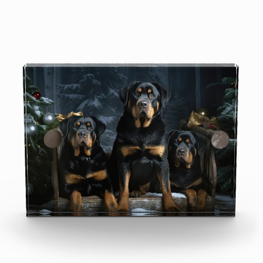Bloc Photo Décor de Noël Rottweiler Snowy Sleigh (Devant)