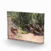 Bloc Photo Deer Walking (Droite)