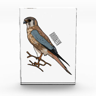 Bloc Photo dessin animé d'oiseau-kestrel américain