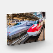 Bloc Photo Deux Shinkansen à la gare de Tokyo (Gauche)