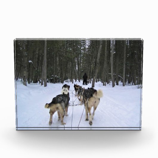Bloc Photo Dog Sledding à Québec, Canada (Devant)
