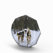 Bloc Photo Dog Sledding à Québec, Canada (Droite)