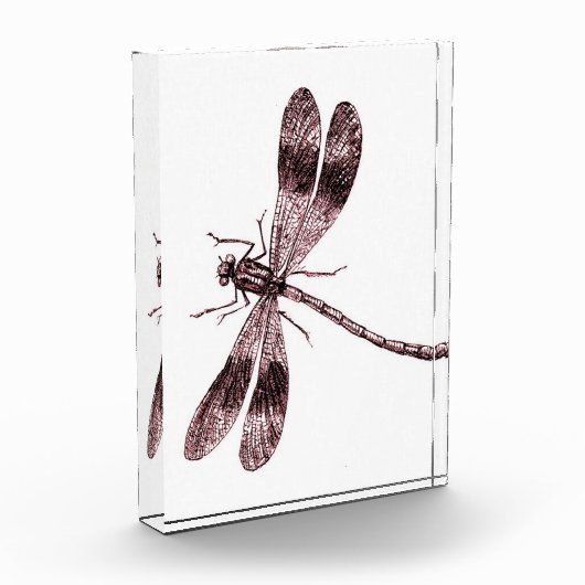 Bloc Photo Dragonfly vintage - Rouge (Gauche)