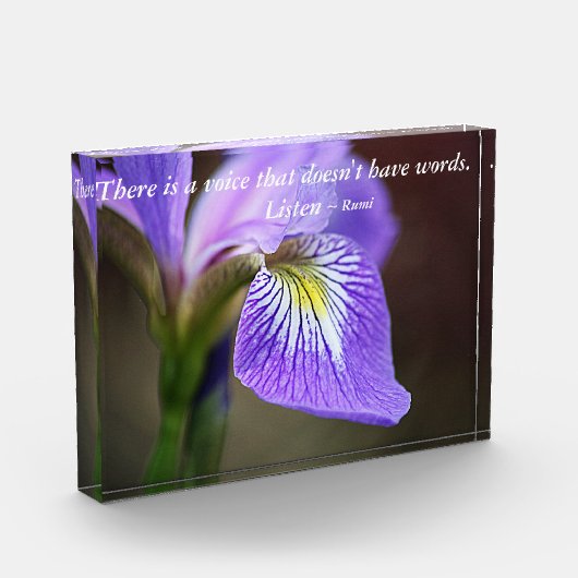 Bloc Photo Écoutent… Rumi (Gauche)