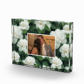 Bloc Photo Élégant classique vert botanique blanc floral (Droite)