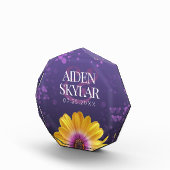 Bloc Photo Elegant Golden Daisy (Droite)