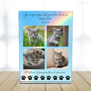 Bloc Photo Empreintes de pattes et souvenirs-Rainbow Cat Memo