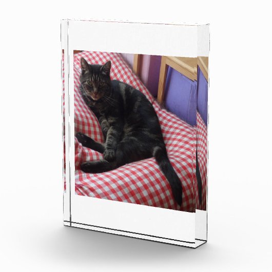 Bloc photo en acrylique mignon Dave (Droite)